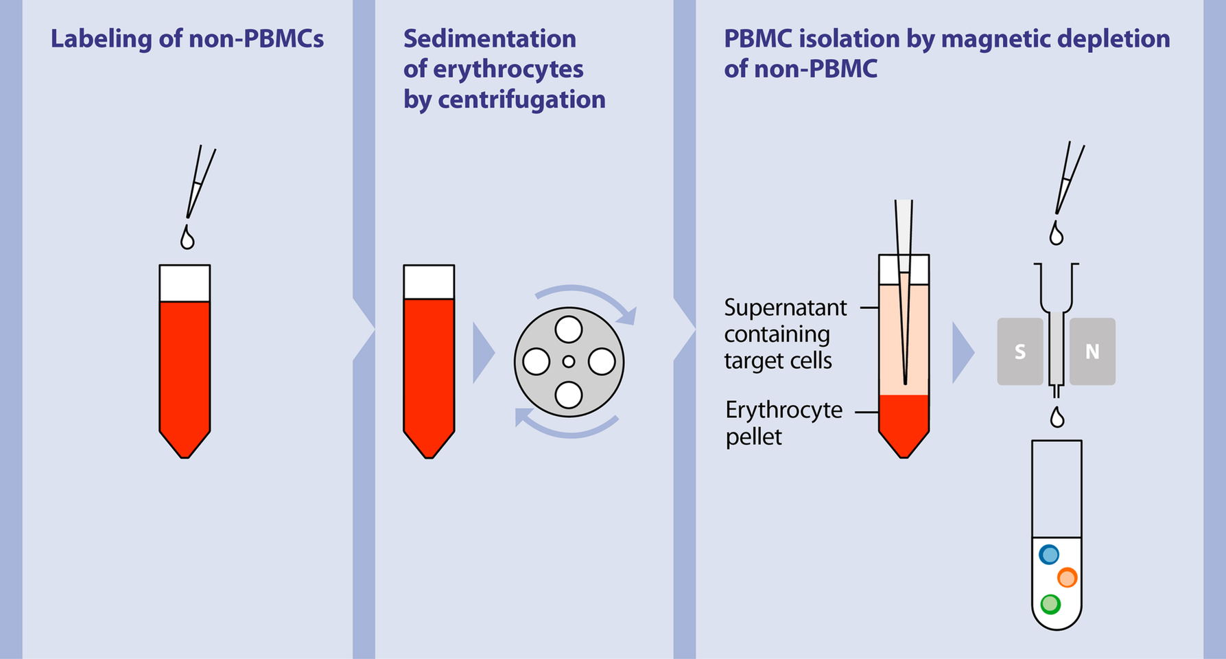 PBMC Isolation Kit Cell Separation Miltenyi Biotec France