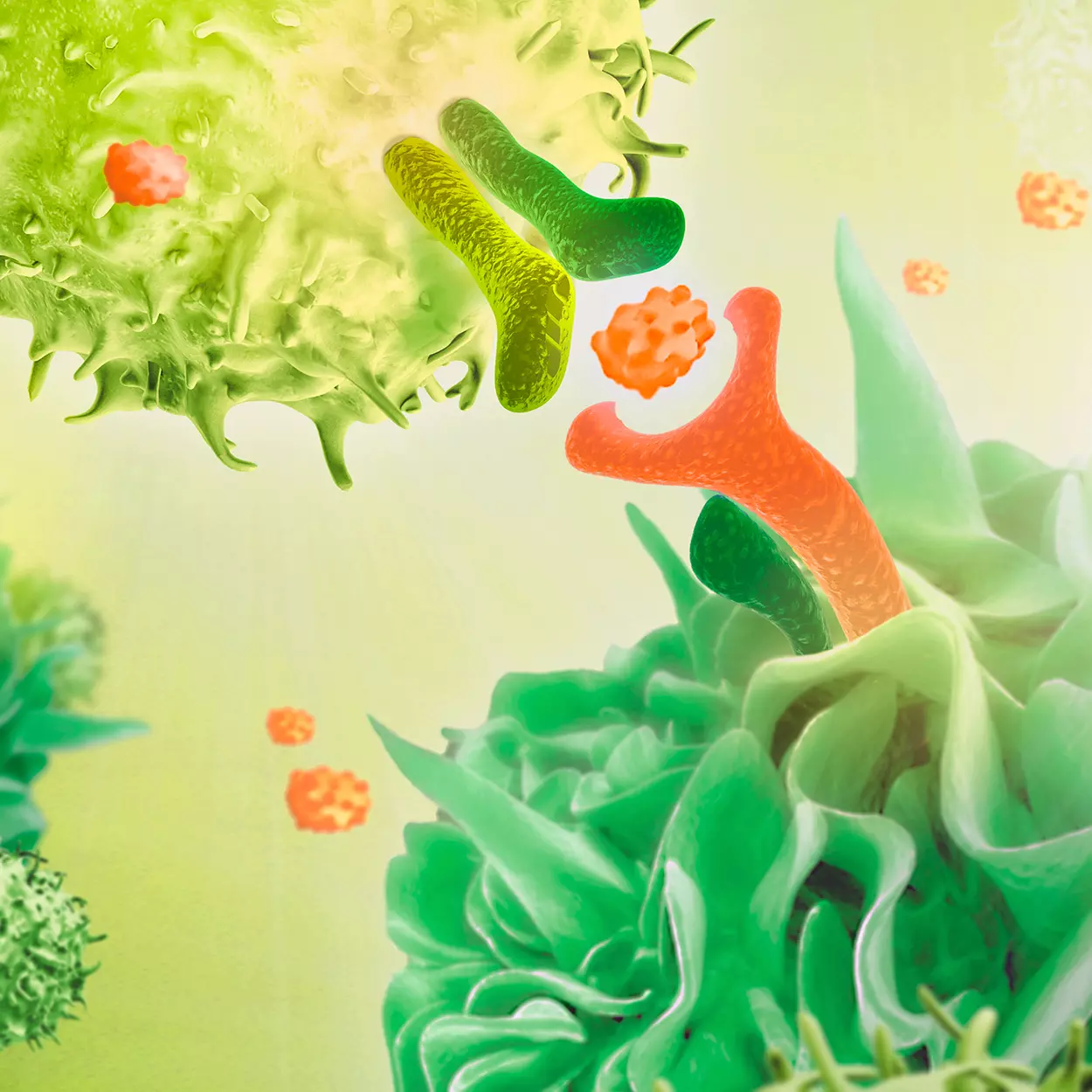 MHC Multimer Products | Flow Cytometry Analysis | Miltenyi Biotec | USA