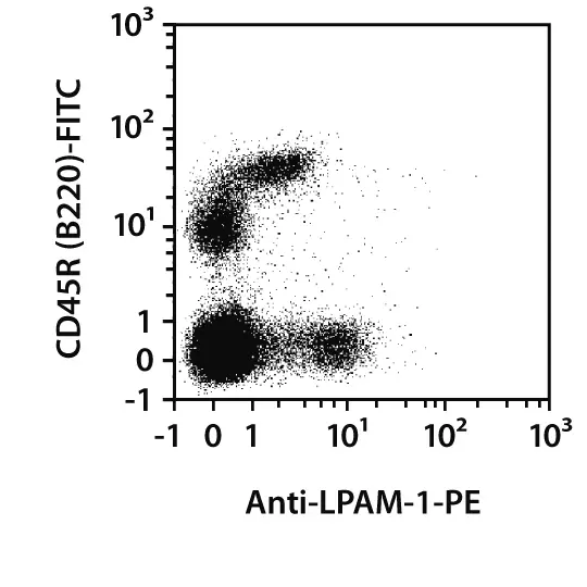 LPAM-1 Antibody, anti-mouse, REAfinity™ | Miltenyi Biotec | 中国