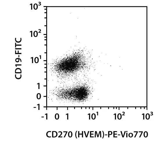 【最新バージョン】 TO-II　CLARITY+ 270粒 ☆2027/8 CD270 (HVEM) Antibody, anti-mouse, REAfinity™ | Miltenyi