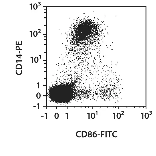 CD86 Antibody, anti-human | Miltenyi Biotec | USA