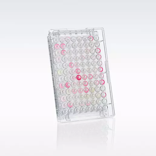 REAscreen™ Immuno-oncology Kit, human, FFPE | Miltenyi Biotec | USA