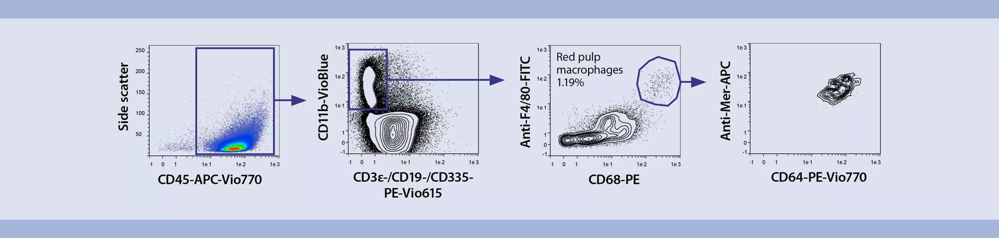 Macrophages | Mouse spleen | Flow cytometry | Miltenyi Biotec | USA