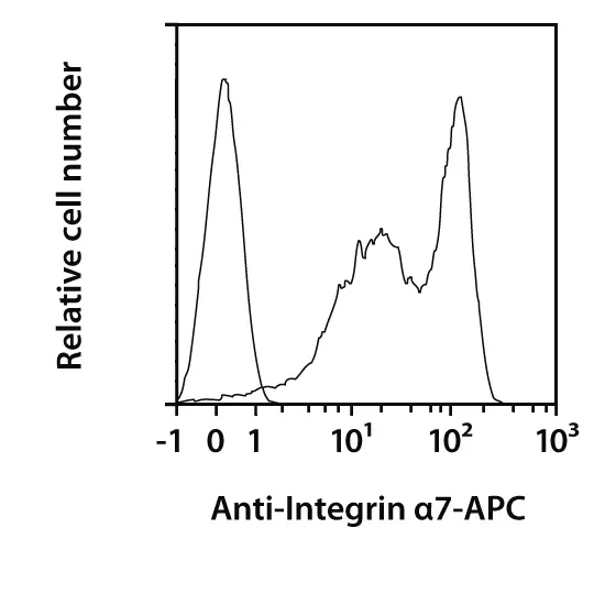 Integrin α7 Antibody, anti-mouse | Miltenyi Biotec | USA