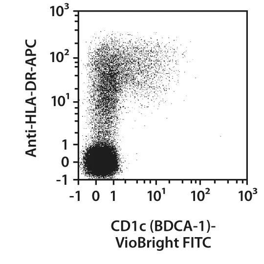 CD1c (BDCA-1) Antibody, anti-human, REAfinity™ | Miltenyi Biotec | USA
