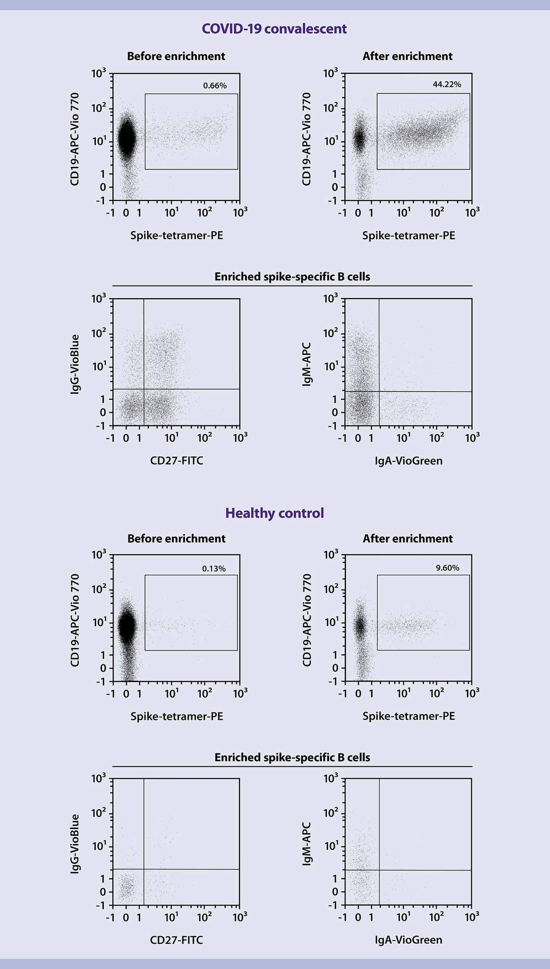 Enrichment Of SARS-CoV-2–specific B Cells | Protocol | Miltenyi Biotec ...