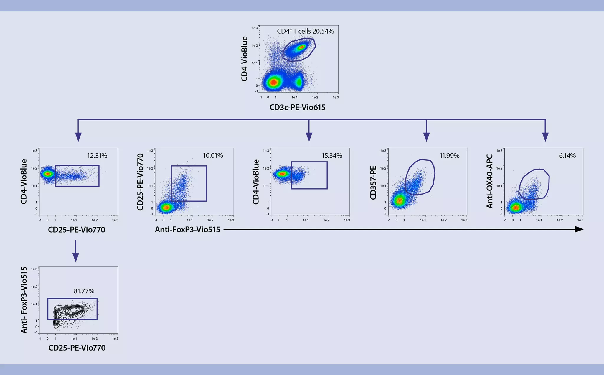 Tregs | Mouse spleen | Flow cytometry | Miltenyi Biotec | 日本