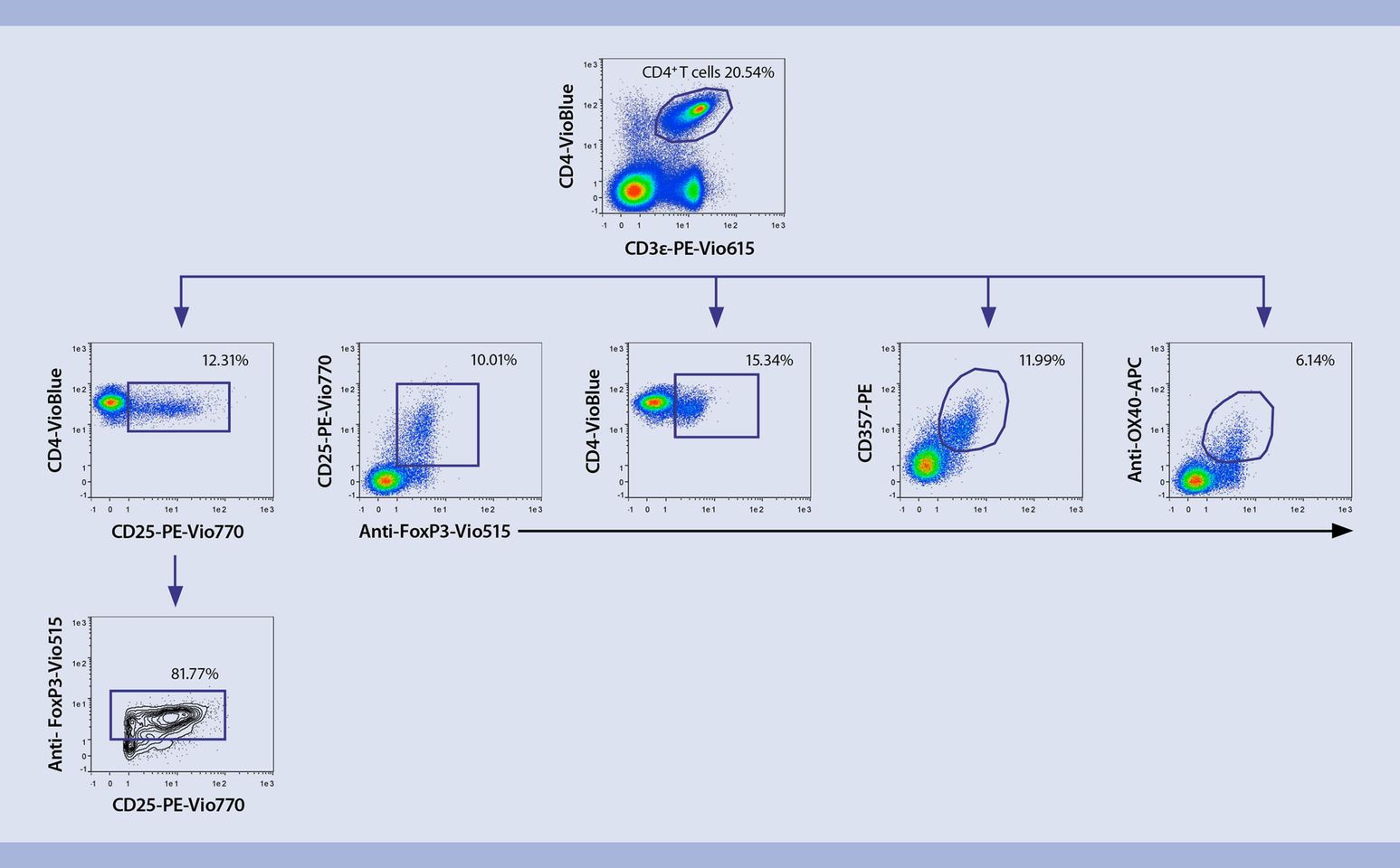 Tregs | Mouse spleen | Flow cytometry | Miltenyi Biotec | USA