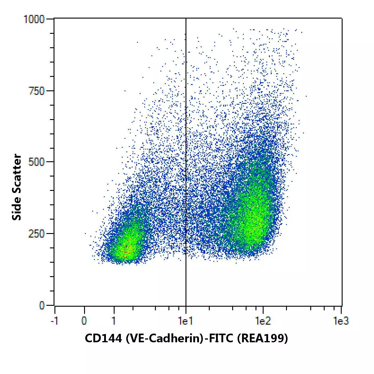 CD144 (VE-Cadherin) Antibody, anti-human, REAfinity™ | Miltenyi