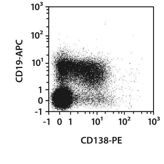 CD138 Antibody, anti-mouse, REAfinity™ | Miltenyi Biotec | USA