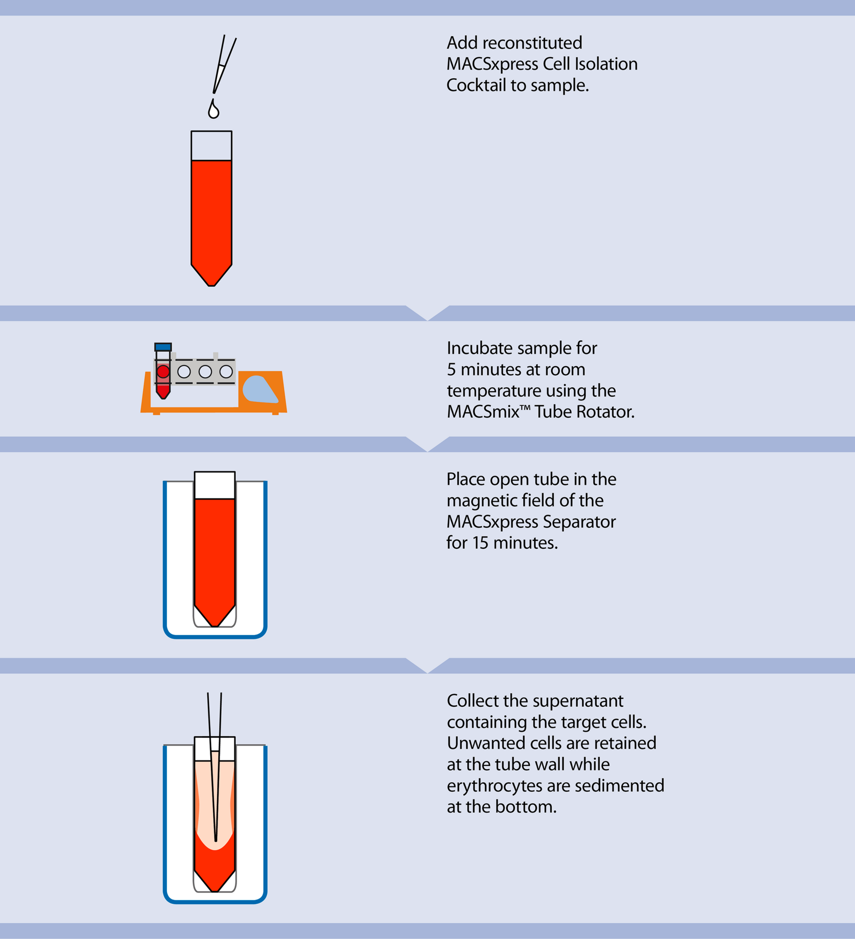 Untouched cell isolation directly from blood Miltenyi Biotec USA