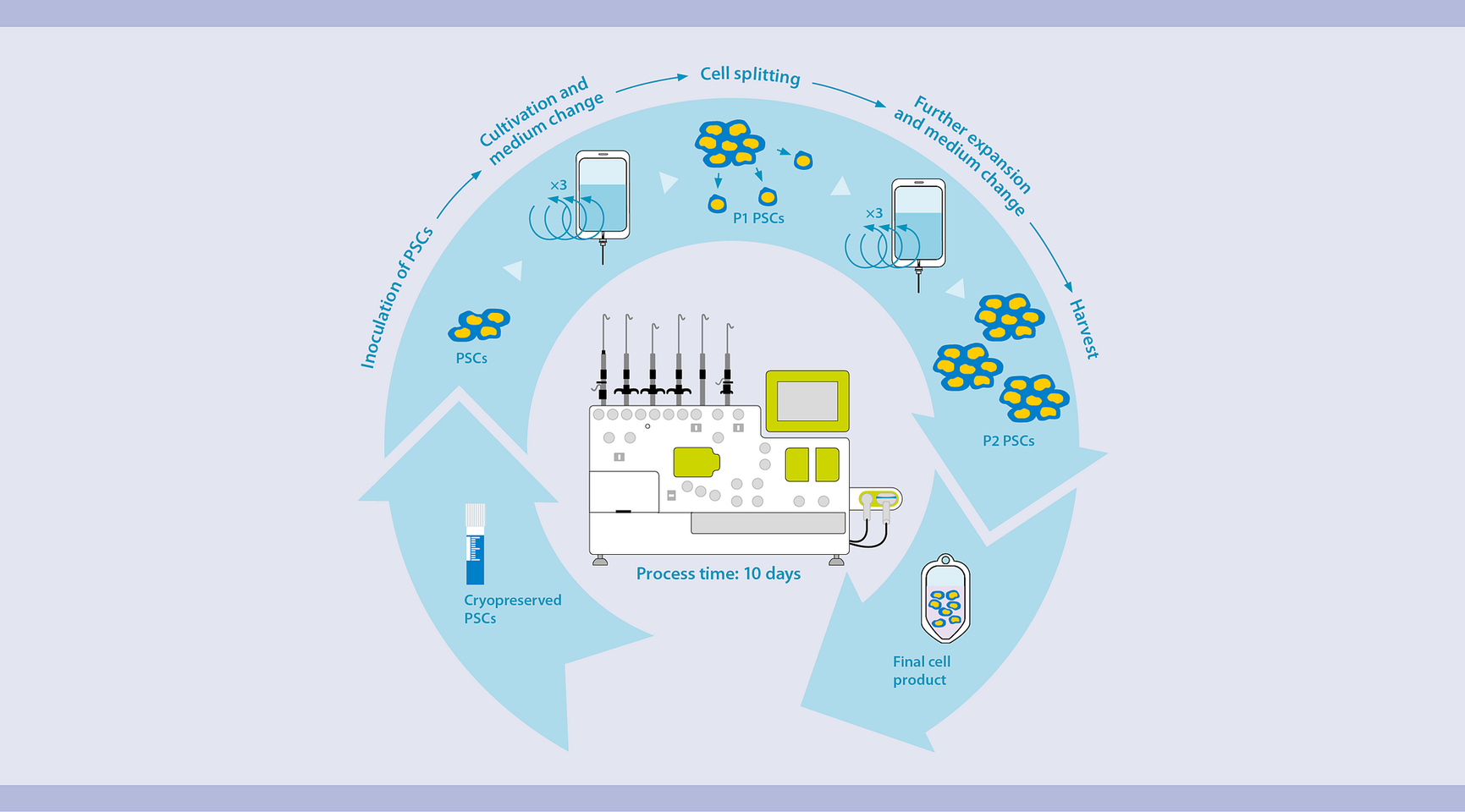Pluripotent stem cell banking (GMP compliant) Cell harvesting