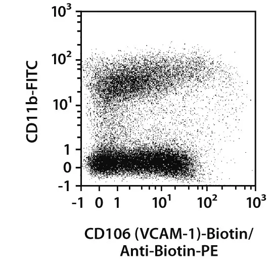CD106 (VCAM-1) Antibody, anti-mouse | Miltenyi Biotec | 中国