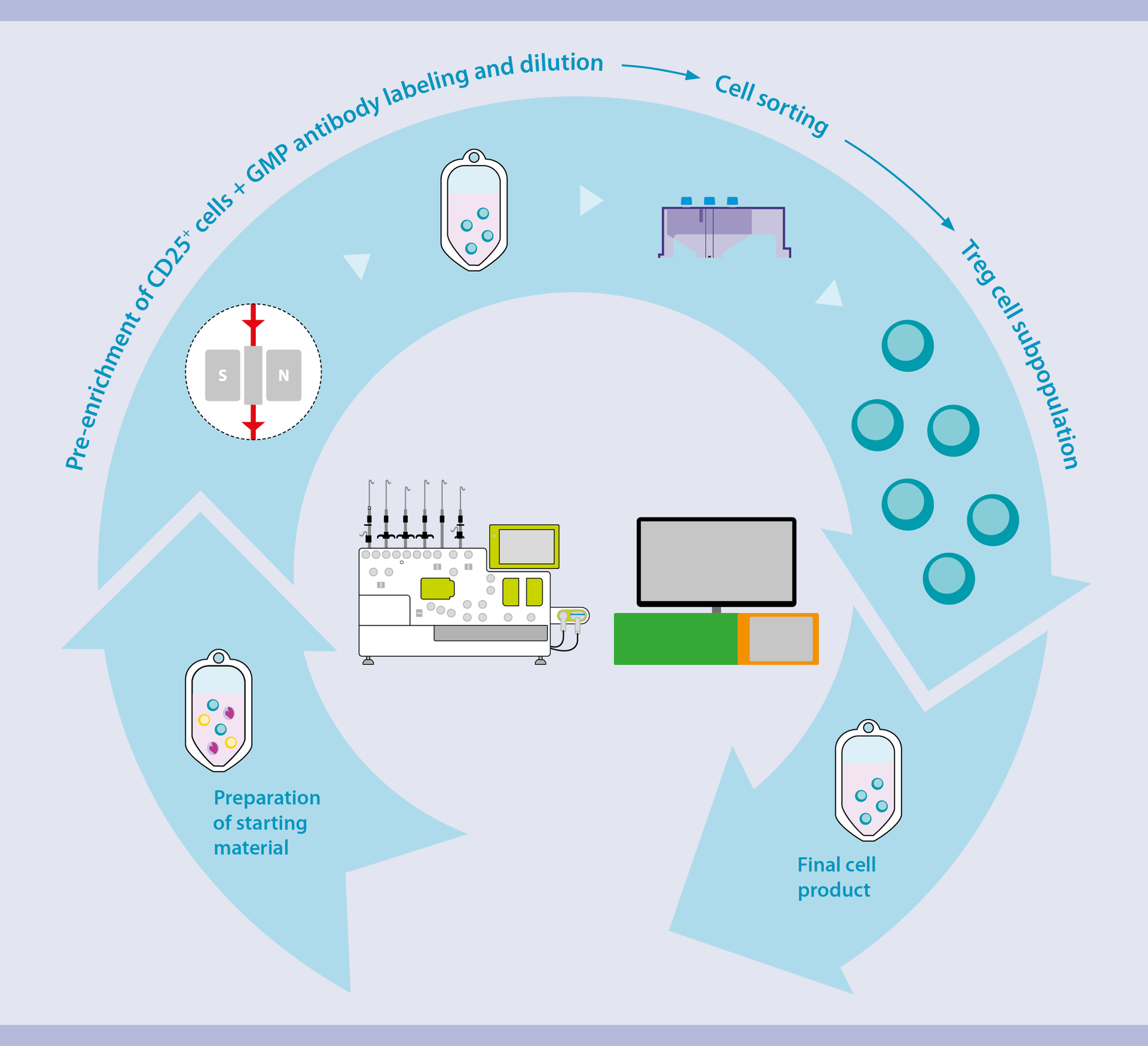 Regulatory T Cells Treg Cell Manufacturing Clinical Grade Miltenyi 