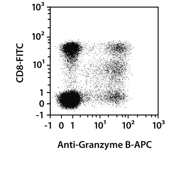 Granzyme B Antibody, Anti-human/mouse/rat, REAfinity™ | Miltenyi Biotec ...