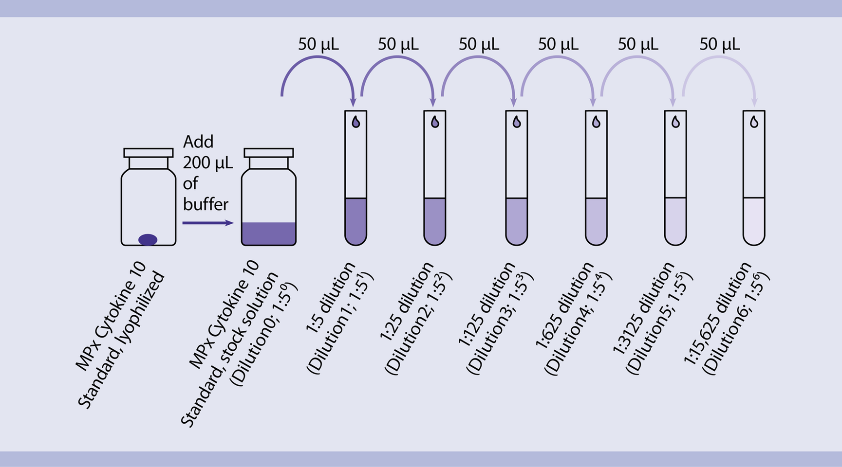 Expansion of mouse CD4+ T cells | Protocol | Miltenyi Biotec | USA