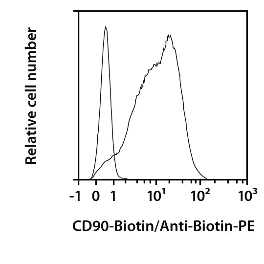 CD90 Antibody, anti-human, REAfinity™ | Miltenyi Biotec | USA