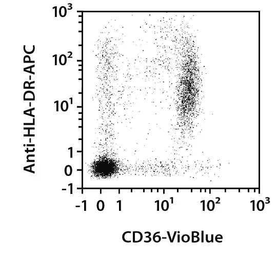 CD36 Antibody, anti-human | Miltenyi Biotec | USA