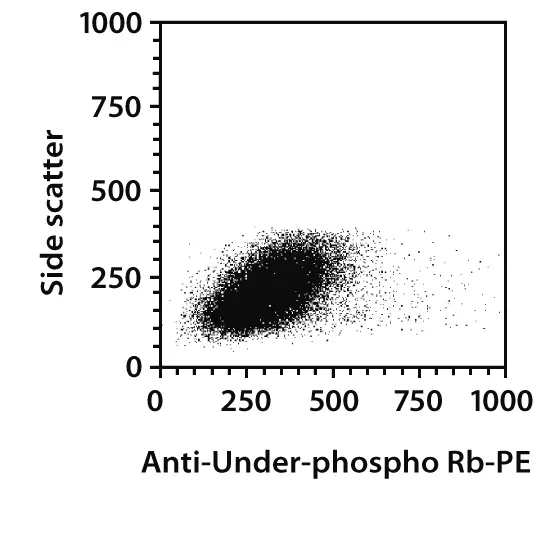 Under-phospho Rb Antibody, anti-human, REAfinity™ | Miltenyi Biotec | USA