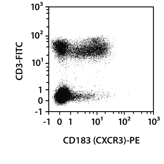 CD183 (CXCR3) Antibody, anti-human, REAfinity™ | Miltenyi Biotec