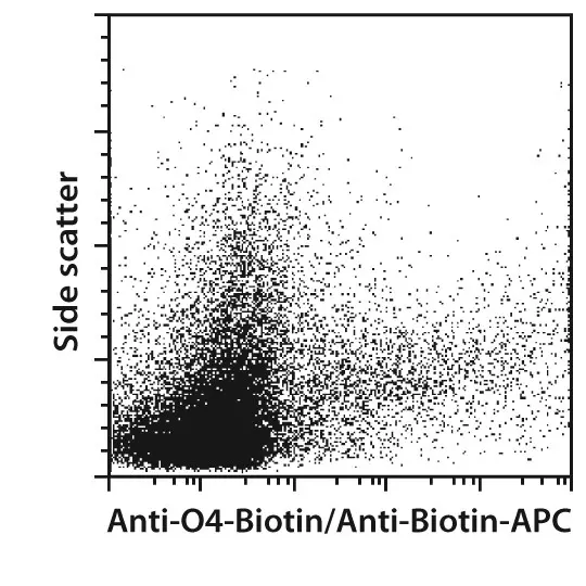O4 Antibody, anti-human/mouse/rat | Miltenyi Biotec | USA