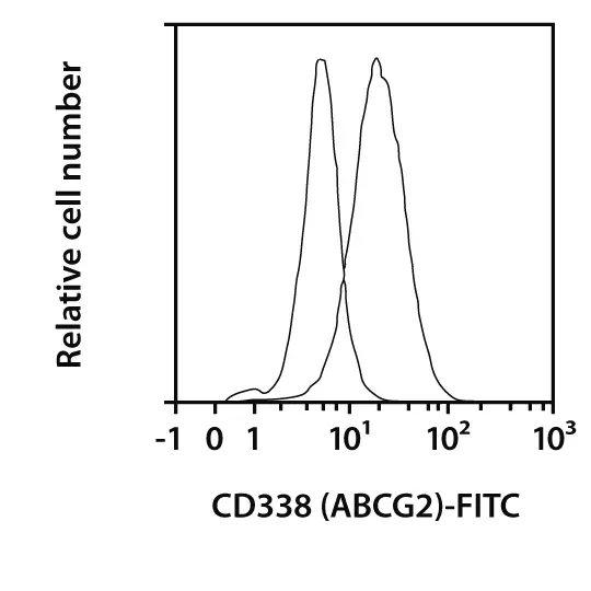CD338 (ABCG2) Antibody, anti-human, REAfinity™ | Miltenyi Biotec | USA