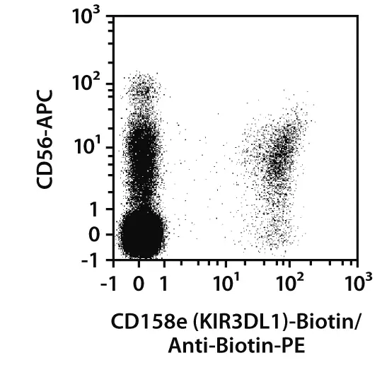 CD158e (KIR3DL1) Antibody, anti-human, REAfinity™ | Miltenyi Biotec | 中国