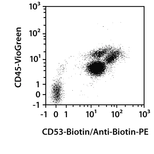 CD53 Antibody, anti-human, REAfinity™ | Miltenyi Biotec | 中国