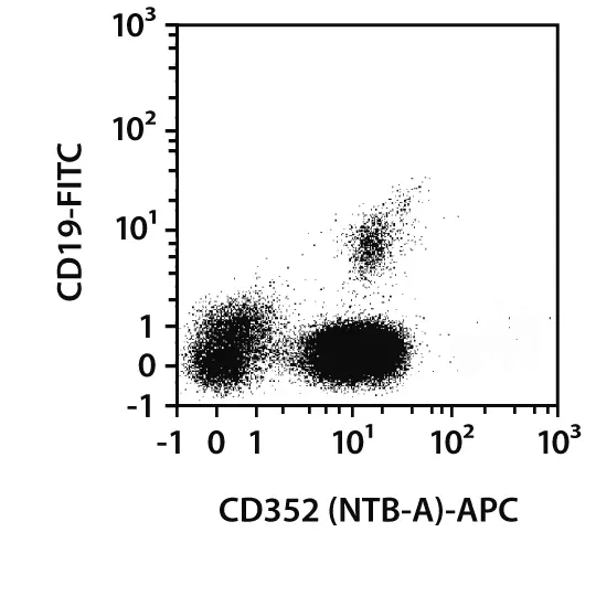 US20230203538A1 - In vivo targeting of Fibrosis by anti-CD5