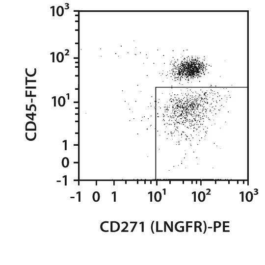 【限定販売】 Kits, MicroBead CD271 human USA | Biotec Miltenyi | 武具