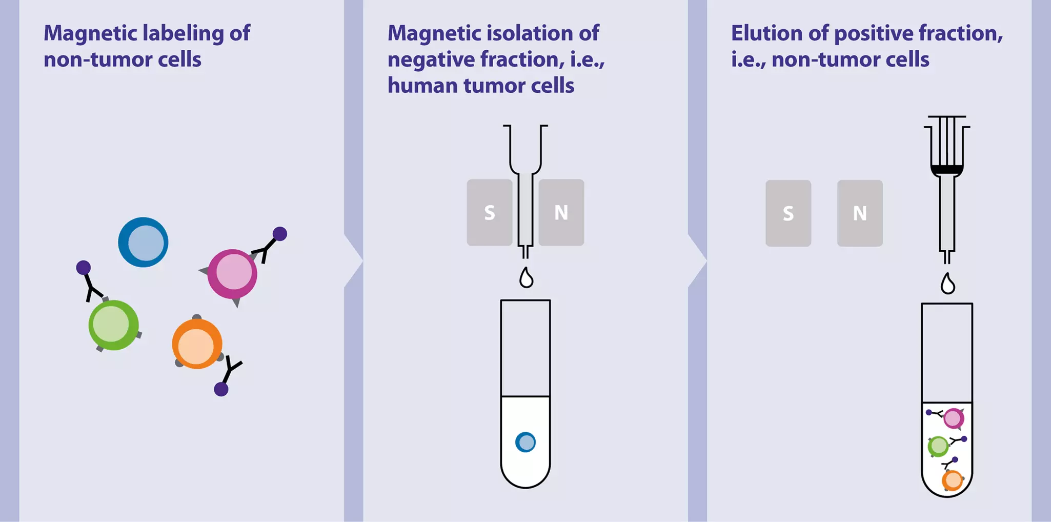 Isolation of tumor cells from human tumor tissue | Protocol | Miltenyi ...