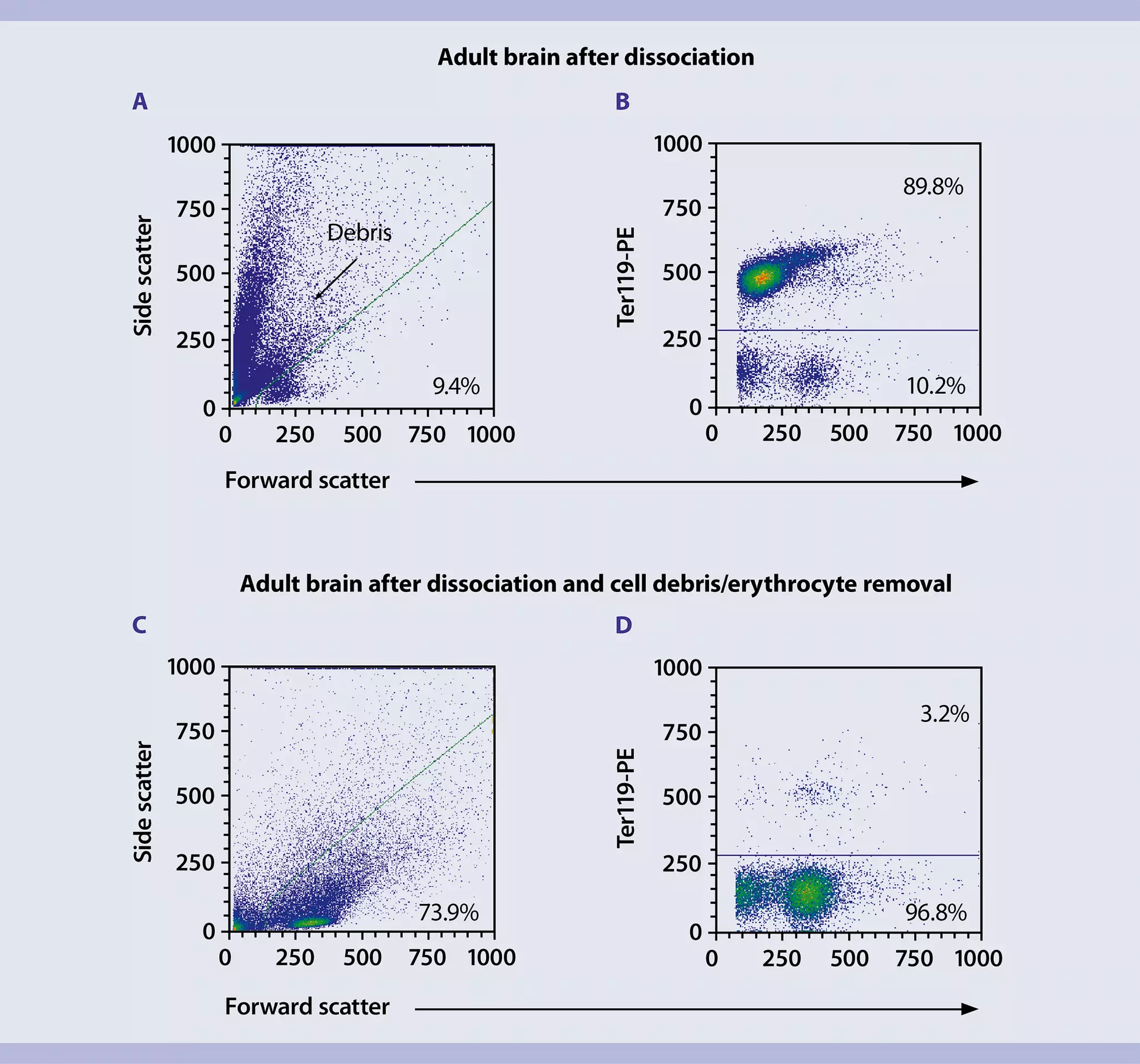 Adult brain dissociation | Workflow | Neural cells | Miltenyi