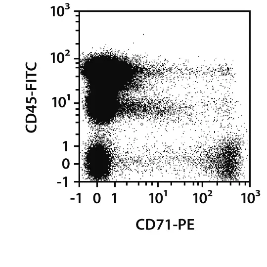 CD71 Antibody, anti-human, REAfinity™ | Miltenyi Biotec | India