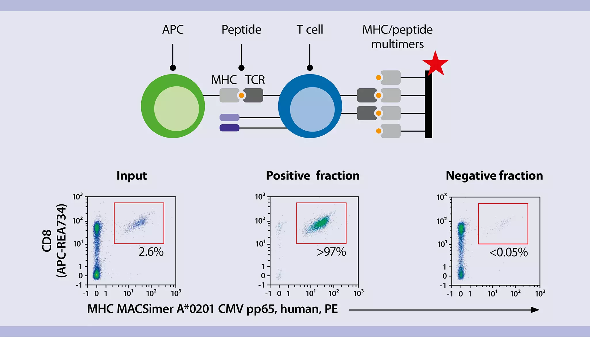 Clinical cell sorting applications | Immunotherapy | Miltenyi Biotec | USA