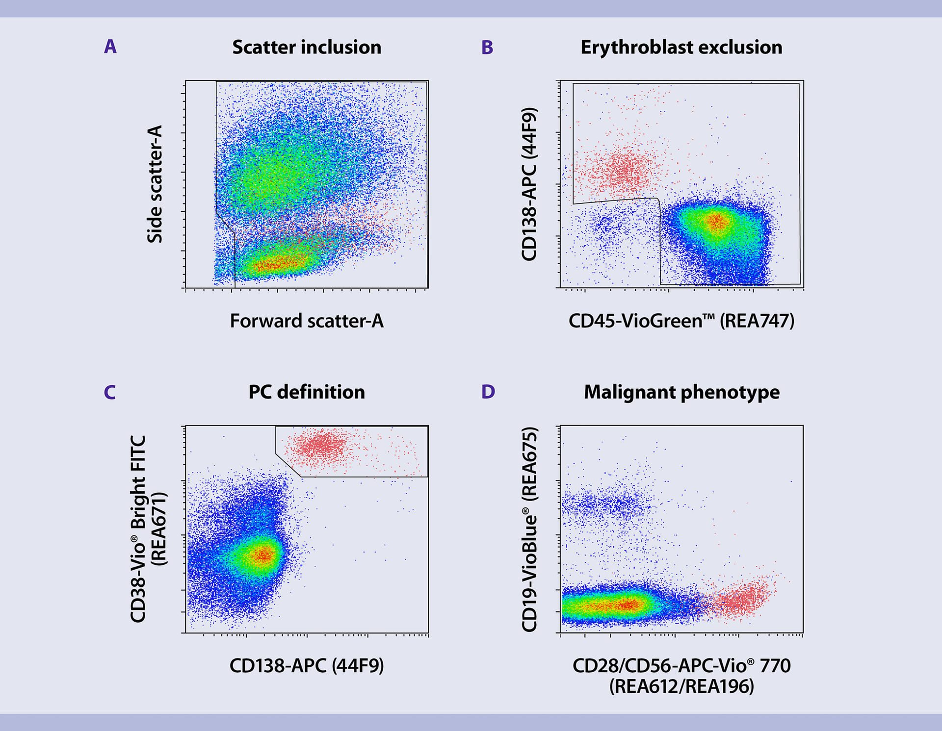 Immunophenotyping plasma cells human multiple myeloma bone marrow