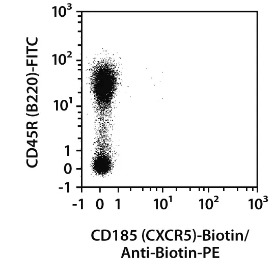 コロヒロチロ Laco Pilot Zurich.2.D40 Men's Watch 861806.2.D F/S from Japan | eBay