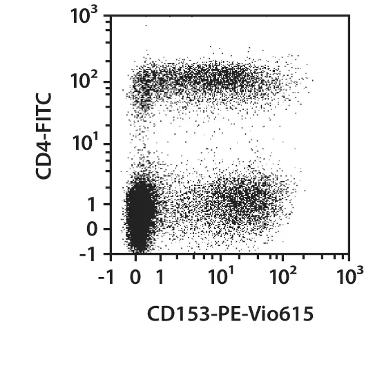 CD153 Antibody, anti-mouse, REAfinity™ | Miltenyi Biotec | USA