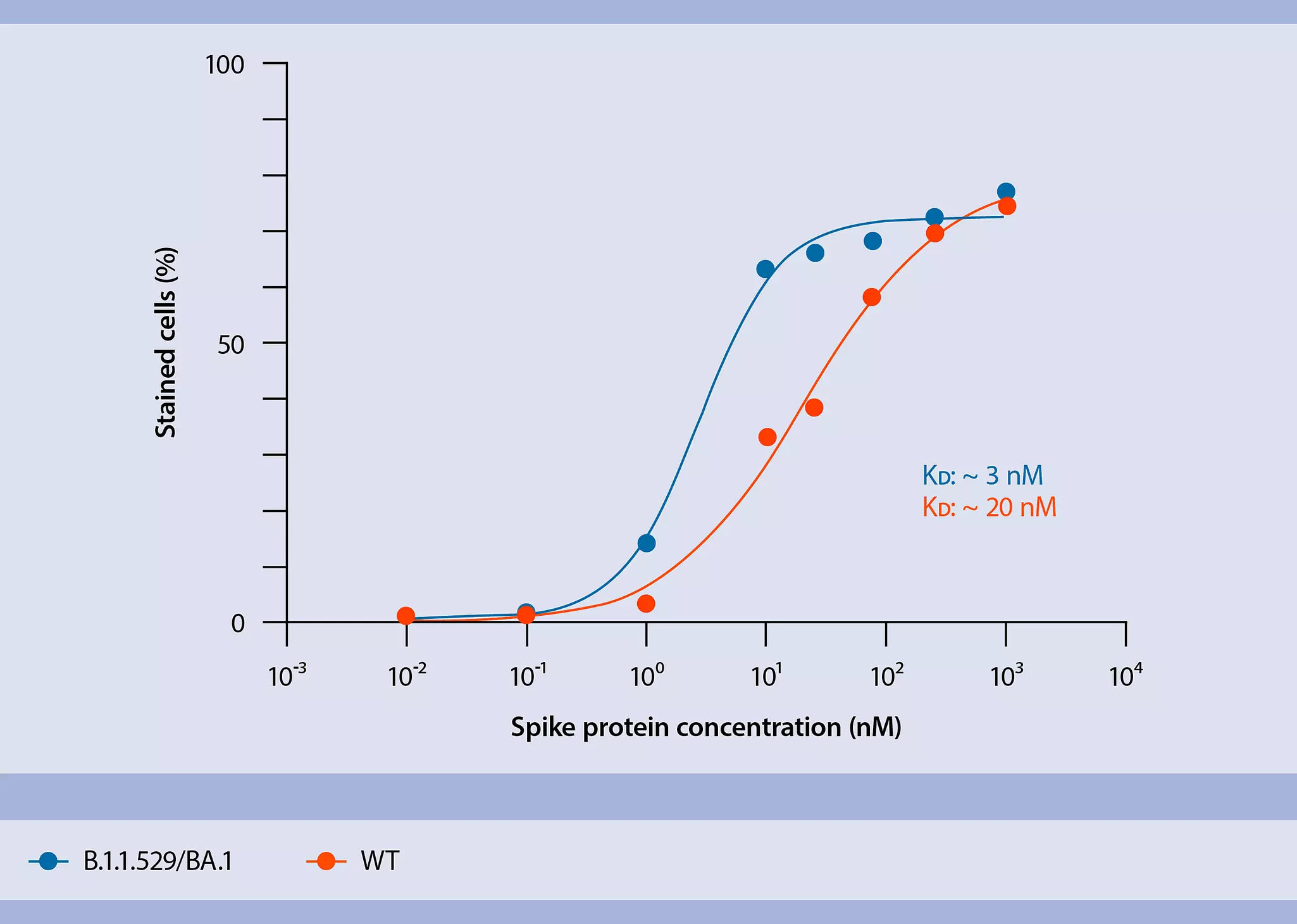 Recombinant SARS-CoV-2 Spike-Prot B.1.1.529/BA.1 (HEK) | Miltenyi ...