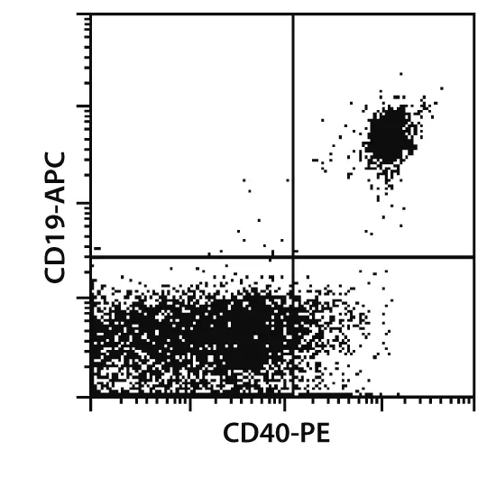 N　CD40枚 CD40 Antibody, anti-human | Miltenyi Biotec | USA