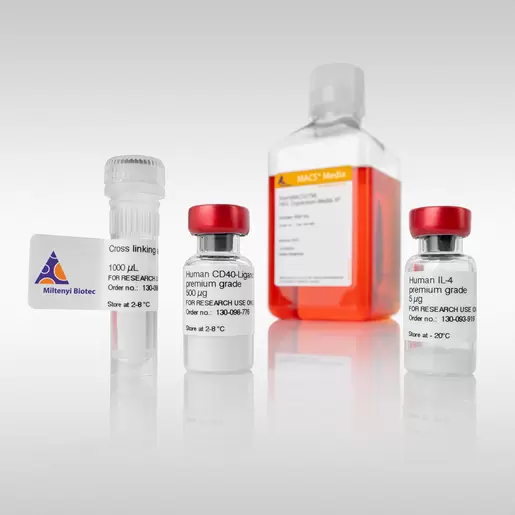 B Cell Expansion Kit, human | Miltenyi Biotec | USA