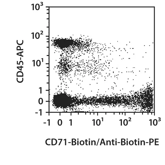 CD71 Antibody, anti-human | CD71 Antibody, anti-human | Miltenyi 