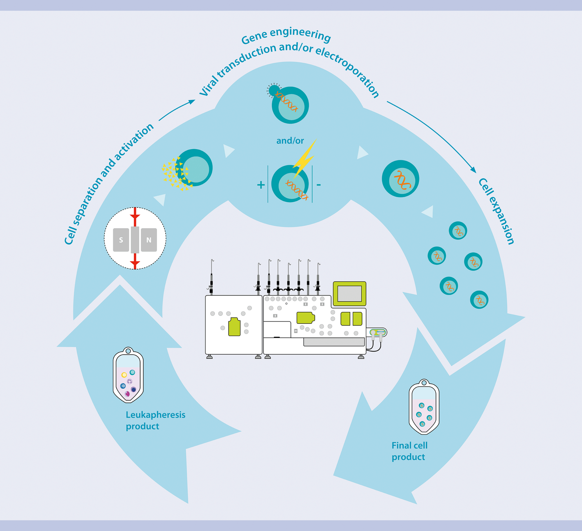 CAR T Cell Manufacturing Workflow: Isolation, Activation and