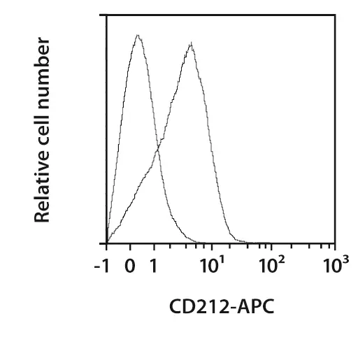 CD212 Antibody, anti-human, REAfinity™ | Miltenyi Biotec | USA