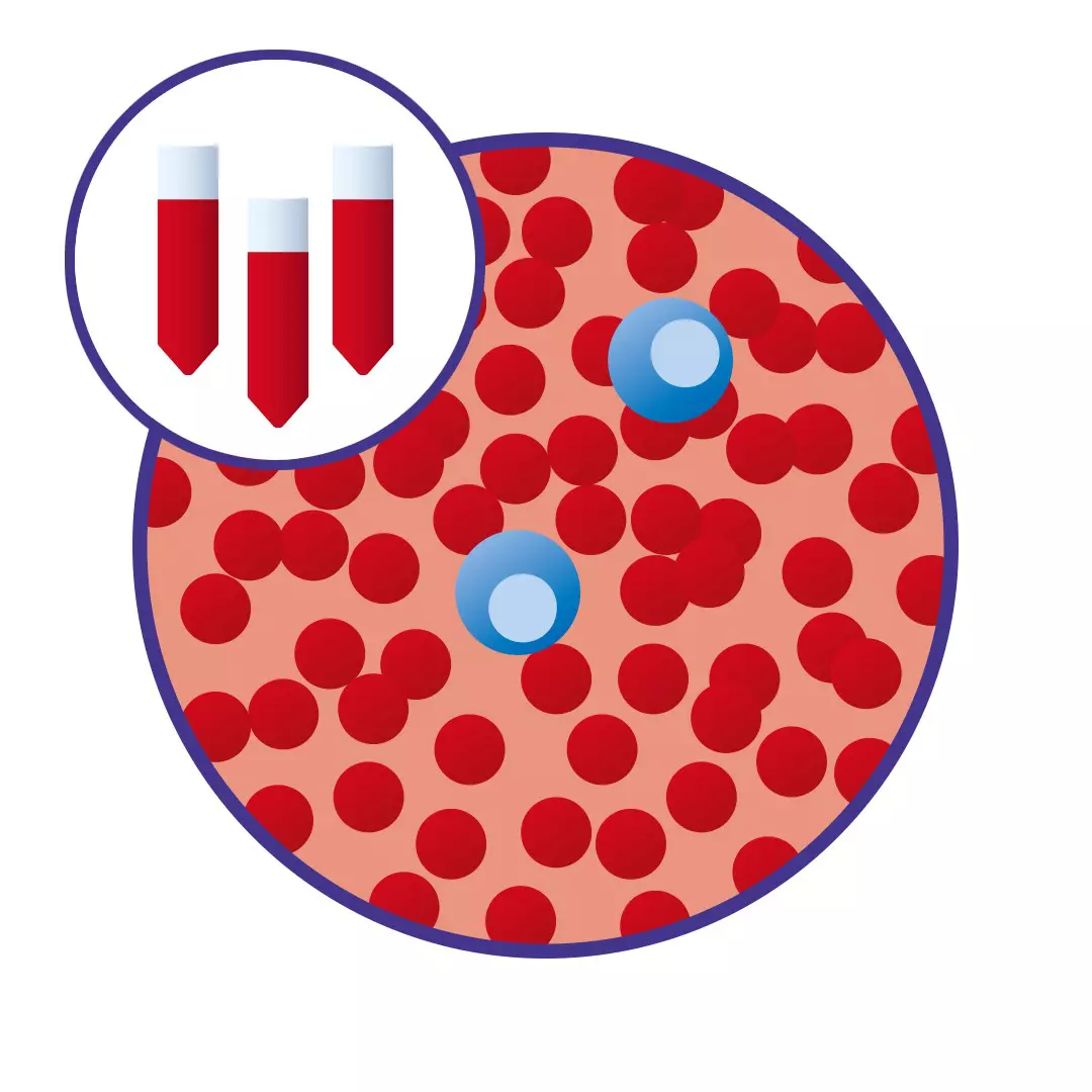 Human peripheral blood | Whole blood | MACS® Handbook | Miltenyi Biotec ...