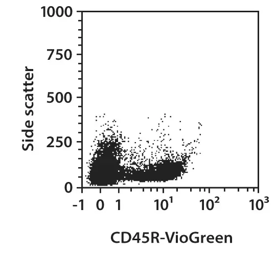 CD45R (B220) Antibody, anti-mouse | Miltenyi Biotec | USA