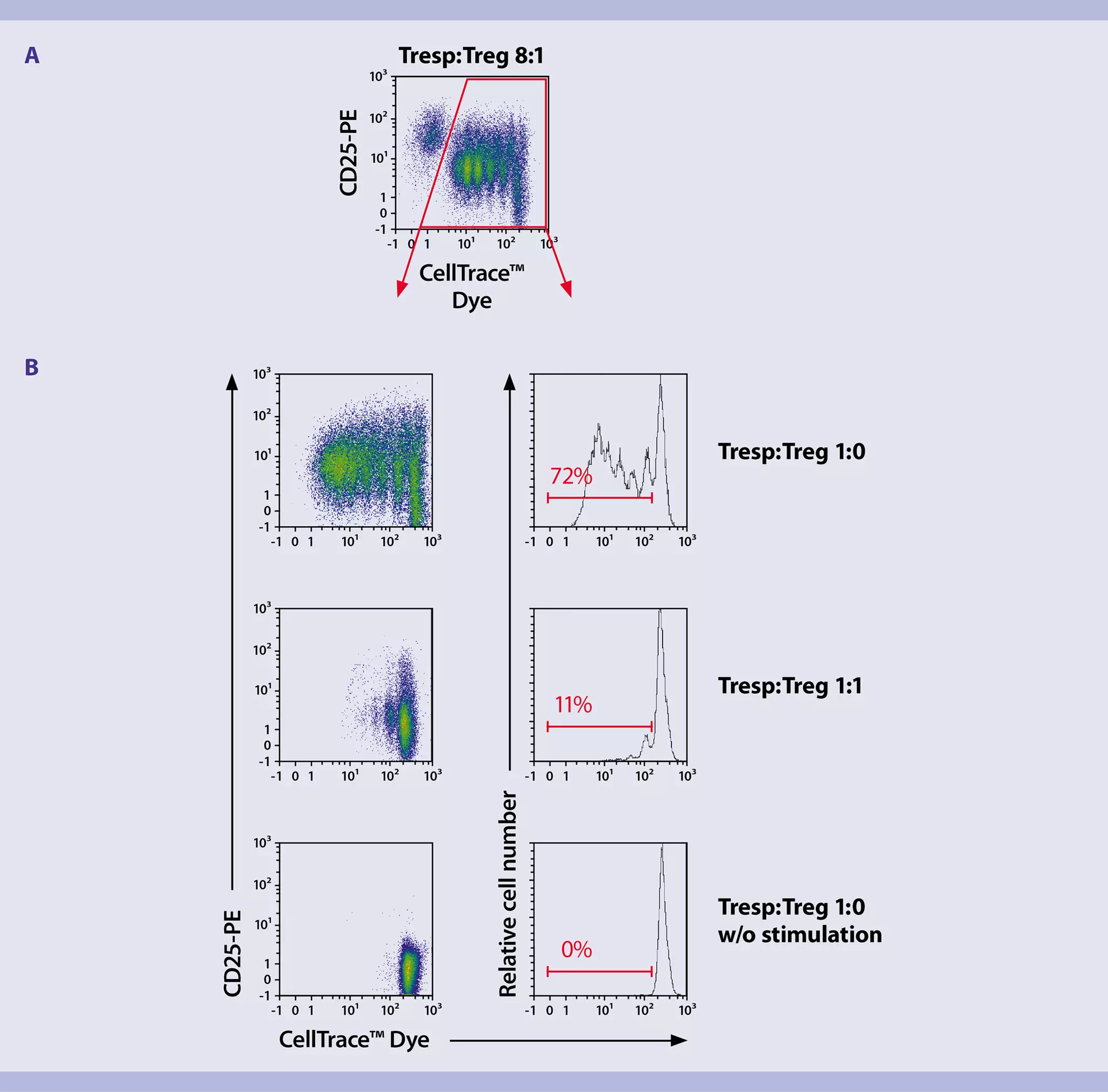 Regulatory T cells | T cell isolation | in vitro suppression | Miltenyi ...