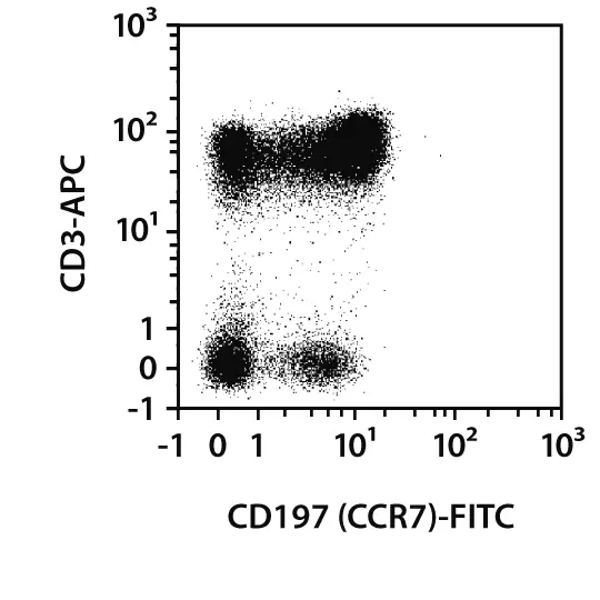CD197 (CCR7) Antibody, anti-human, REAfinity™ | Miltenyi Biotec | USA