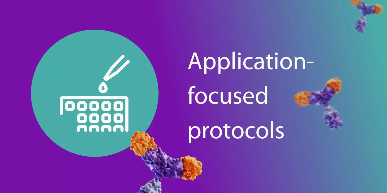 Predefined REAplex antibody kits for spatial mapping and multiplexing ...