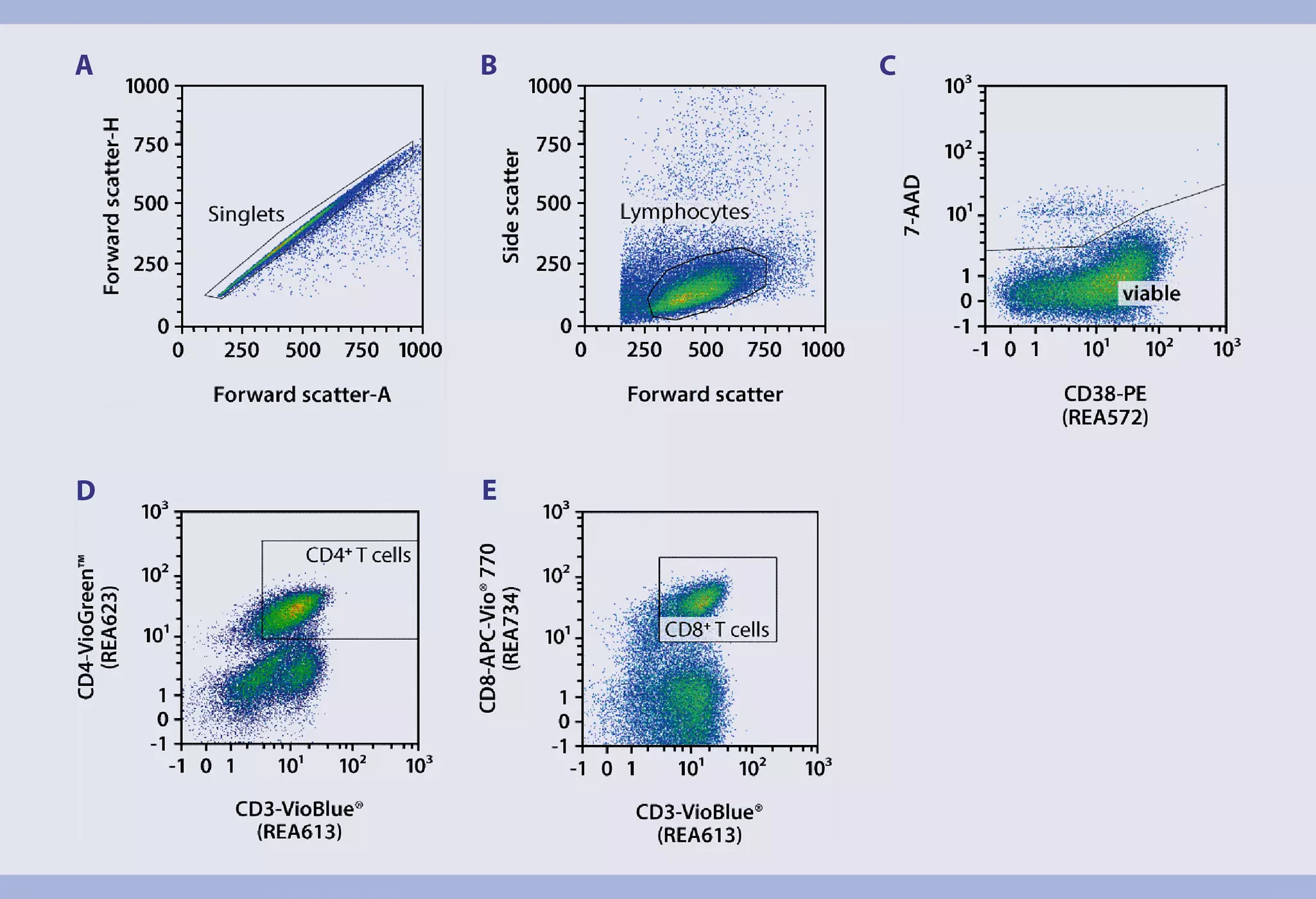 Immunophenotyping | CD4+ CD8+ T cell differentation and exhaustion ...