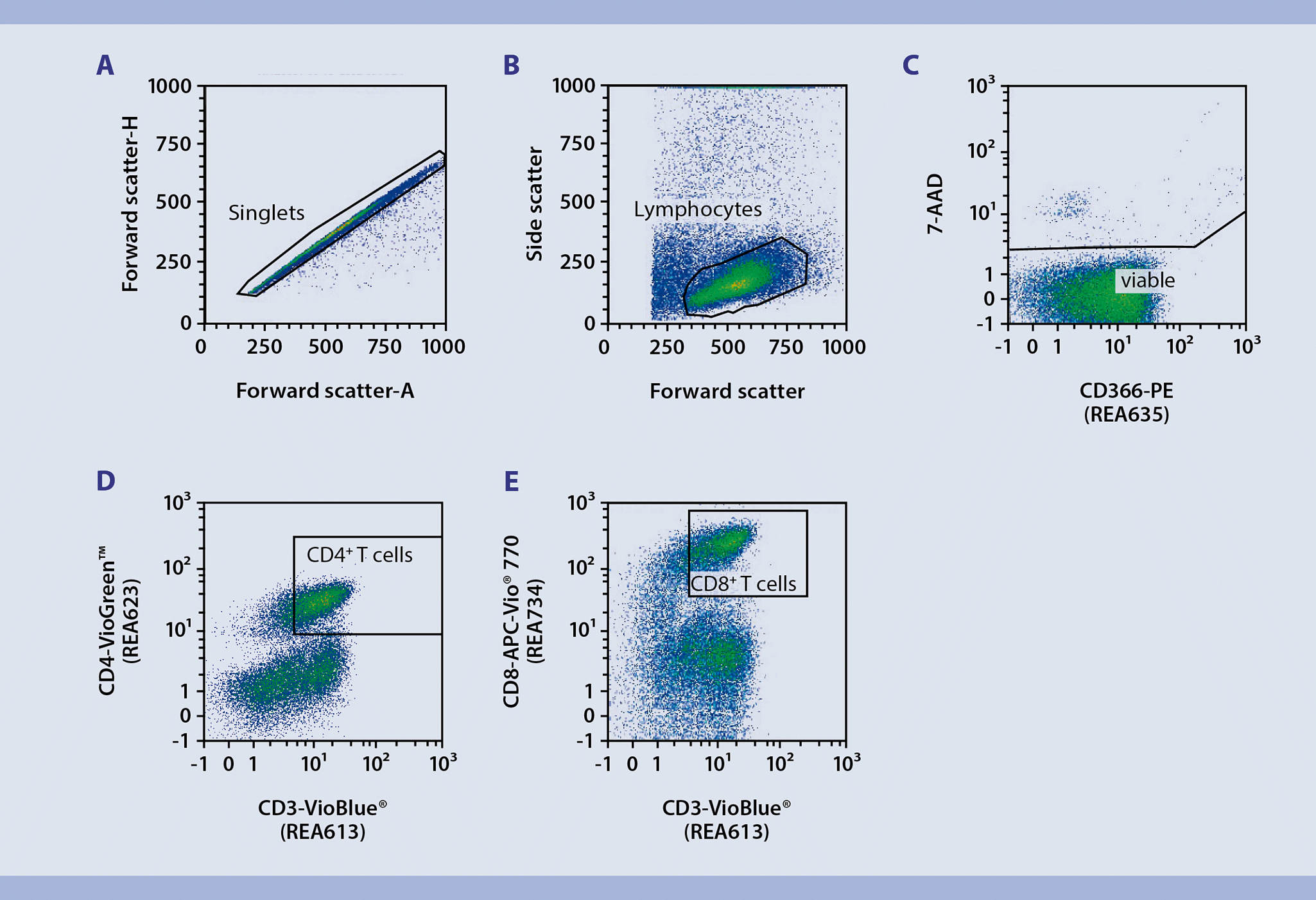 Immunophenotyping | CD4 CD8 T cells differentiation and exhaustion ...